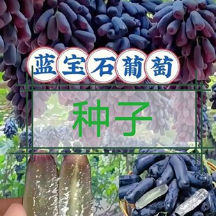 ����ָ�o�Ѻ������ј�N�Ӯ���Y�����{��ʯ���ѷN���ϱ����Nֲ��