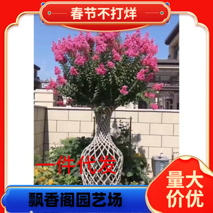 һ�����l��ޱ������ޱ���������Ե��Լt���t�����ޱ��ͥԺ���ܾG