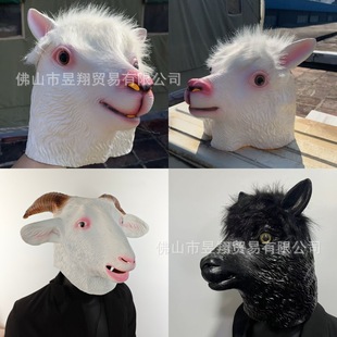 �f�}����߄����^�� �}�F�������Ɍ���������R�^ɽ�����z�F؛