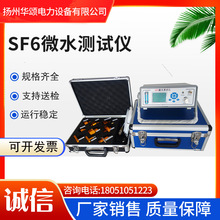 SF6微水儀 氣體微量水分測量儀 SF6微水分析儀 測試儀