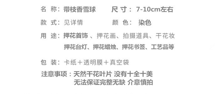 带枝香雪球.png