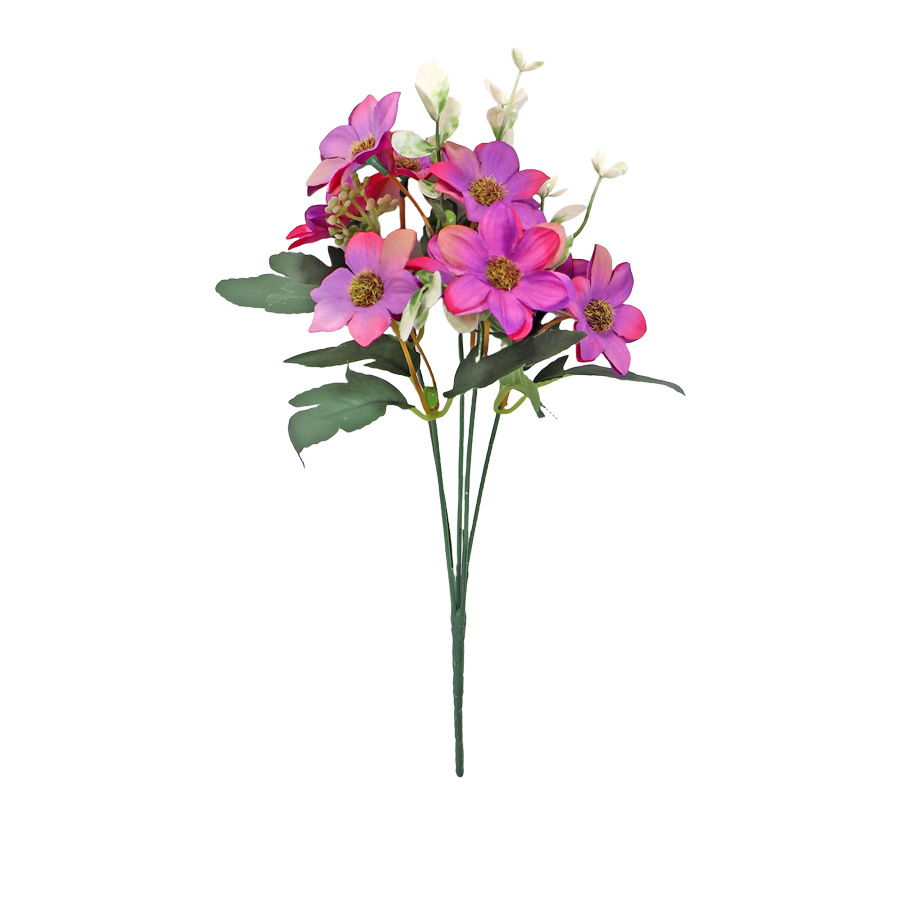 보라