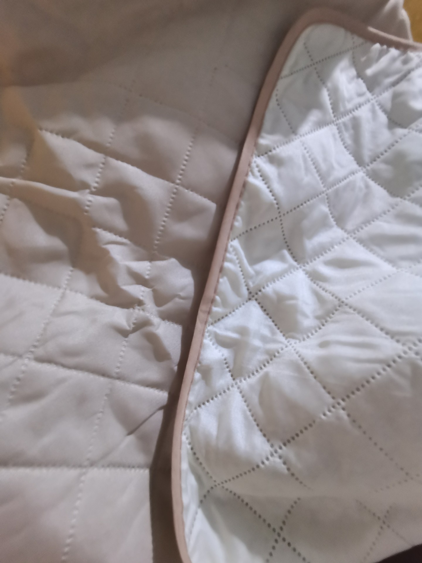 IMG_20230518_155159_副本