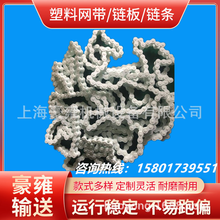 全PP塑料链条 全PP塑料链条厂家 全PP塑料滚子链