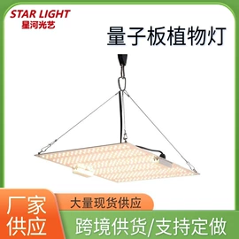 植物生长灯;阅读台灯;其他美容仪器