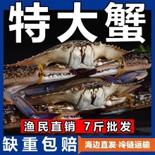 |ҰзrrззĸзrȺľb