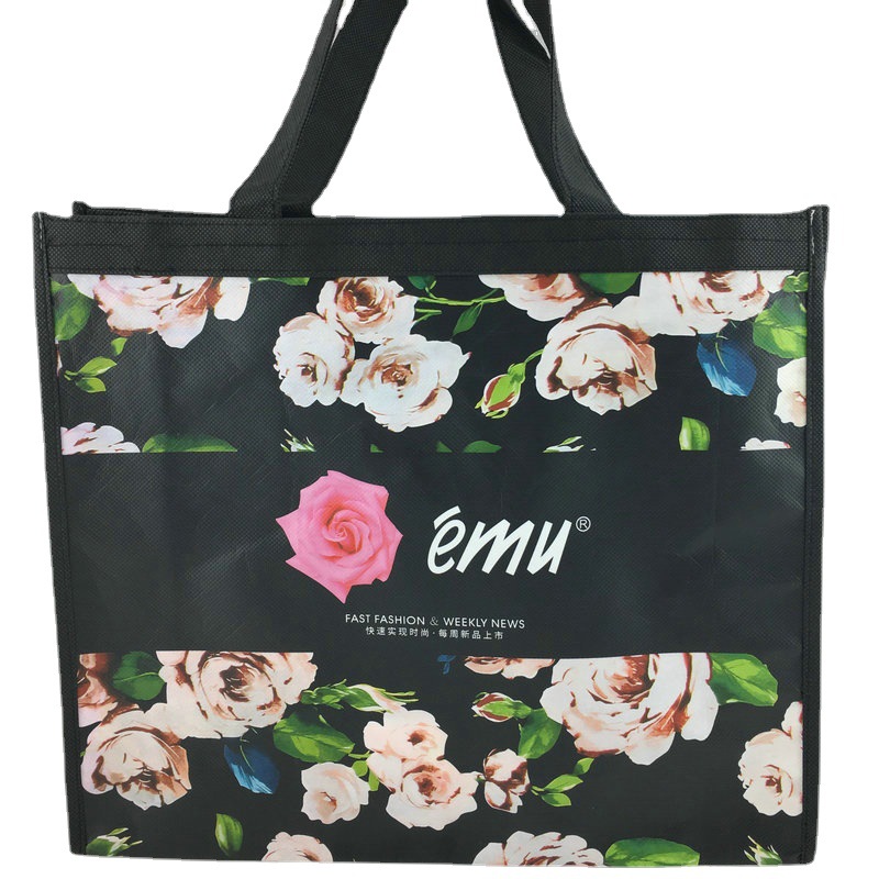 彩印无纺布袋PP复膜立体袋手工车缝可加印LOGO覆膜环保袋厂