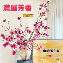 ˮmܰmֲ֦_ͺrbB҃