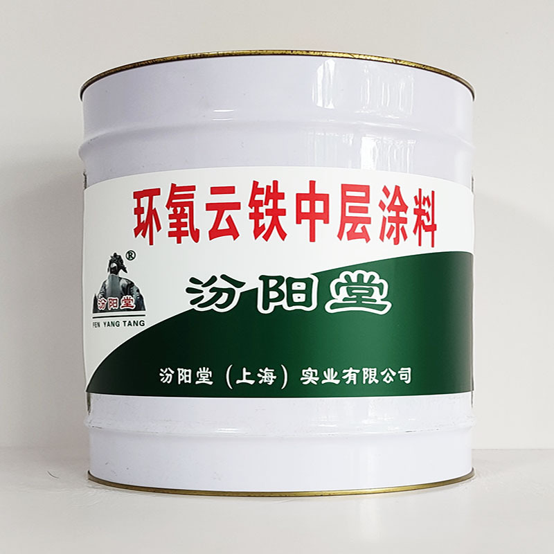 环氧云铁中层涂料、包运输、环氧云铁中层涂料、开桶即用