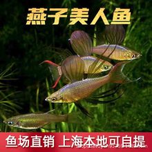 ���������~�ᎧС���^�p�~�����~ˮ�ݸ�Ⱥ�Ο����~�����~�����~