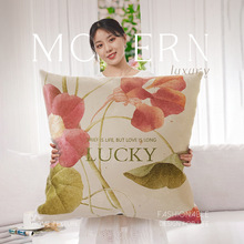 新款客厅沙发抱枕套卧室超大抱枕靠垫套床头飘窗靠枕汽车高端靠背