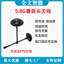 5.8GĢ���^�쾀FPV�o�˙C�D�� ���ɔ_�o�������� Դ�^���S