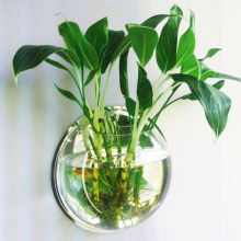 亚克力壁挂式花盆墙饰壁饰水培花瓶特色家居装饰品水养瓶墙上花盆