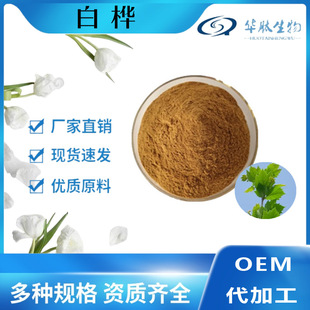 �ט�(BETULA ALBA)�~��ȡ�� �A������ ԭ�Ϲ��� �F؛