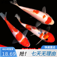 �ձ��\����ϵС�~���\��������ɫ���B�ͻ���ˮ�^�p�~�t�׽��~���N