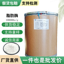 批发供应脂肪酶食品级食用酶制剂脂肪分解脂肪酶10万u/g脂肪酶