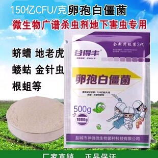 �ȵ��S���߰׽����Nֲ�Iͨ�ùϹ��߲˲��~ș��������x���������