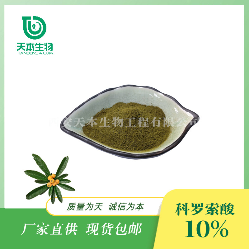 西安天本  SC厂家科罗索酸10%枇杷叶药材 枇杷叶提取物 另有5%20%