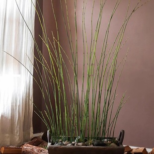 Simulated wood thief bamboo grass fine bamboo green plant wood thief flower potted plant decoration flower arrangement hotel model room decoration