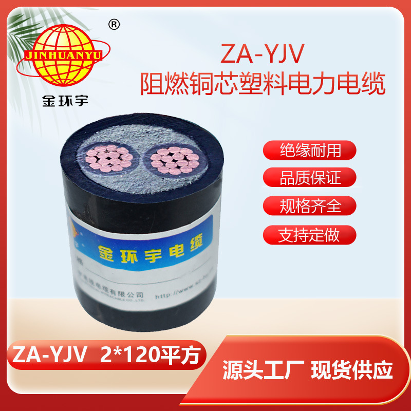 金环宇电缆 阻燃电线  ZA-YJV 2X120平方yjv120平方电力电缆