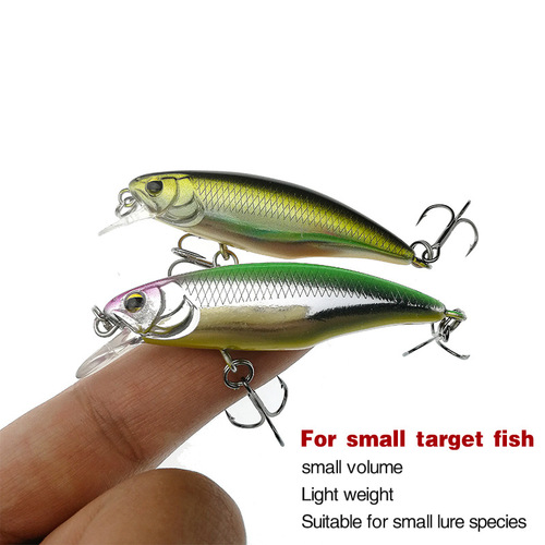 Japanese micro-object Minnow
