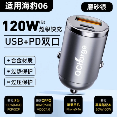 Siqaret yandırıcısı: cigarette lighter for Qin Plus - default-item-seal-06-special-edition-120w-hidden-model-matte-silver