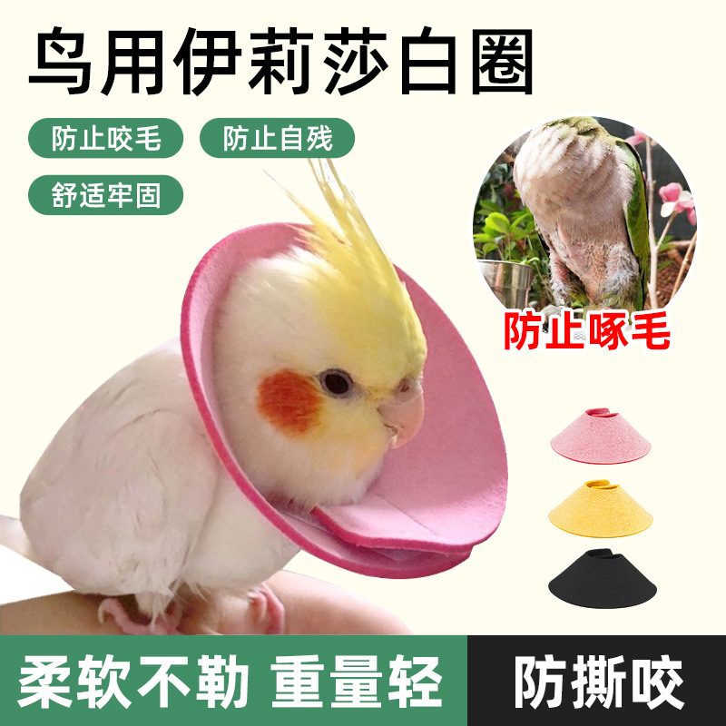 Parrot Bird Elizabeth circle anti-bite hair pecking hair injury protection collar tiger skin peony scarf cross-border supplies