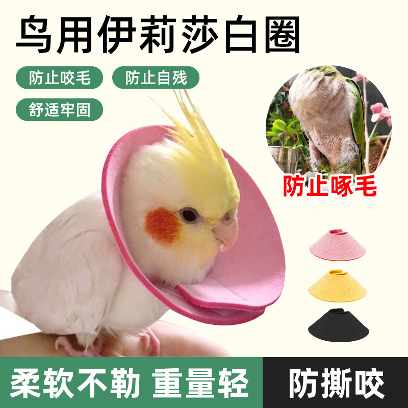 Parrot Bird Elizabeth circle anti-bite hair pecking hair injury protection collar tiger skin peony scarf cross-border supplies