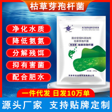 枯草芽孢杆菌水产养殖专用芽孢杆菌调水促长鱼虾蟹塘泼洒芽孢