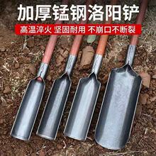 ���Q����P�ڶ�ȡ�������i��P�ӑ�����üӺ�A�P�S�ҬF؛�����l