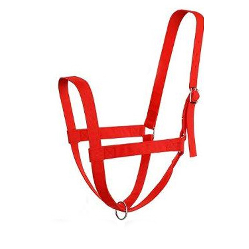 끈이 없는 말 머리띠 빨간색