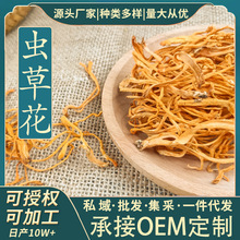 福建古田虫草花干货蛹虫草孢子头袋装食用菌北冬虫夏草100克