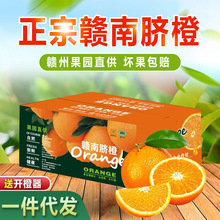 批发薄皮超市直供供应赣南脐橙应季果园整箱橙子新鲜赣州