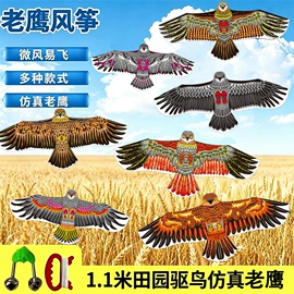 风筝;其他运动休闲
