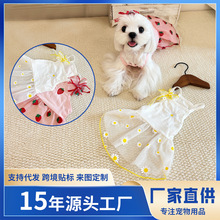 跨境夏季薄款宠物纱裙子博美比熊泰迪约克夏雪纳瑞小型犬狗狗衣服