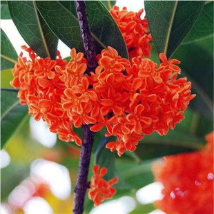 𻨘绨ļͽͺͥԺ̨ϱ