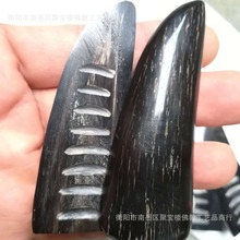 ţ���Ժ����� ʥ����  ʥ�� ռ�����߲���