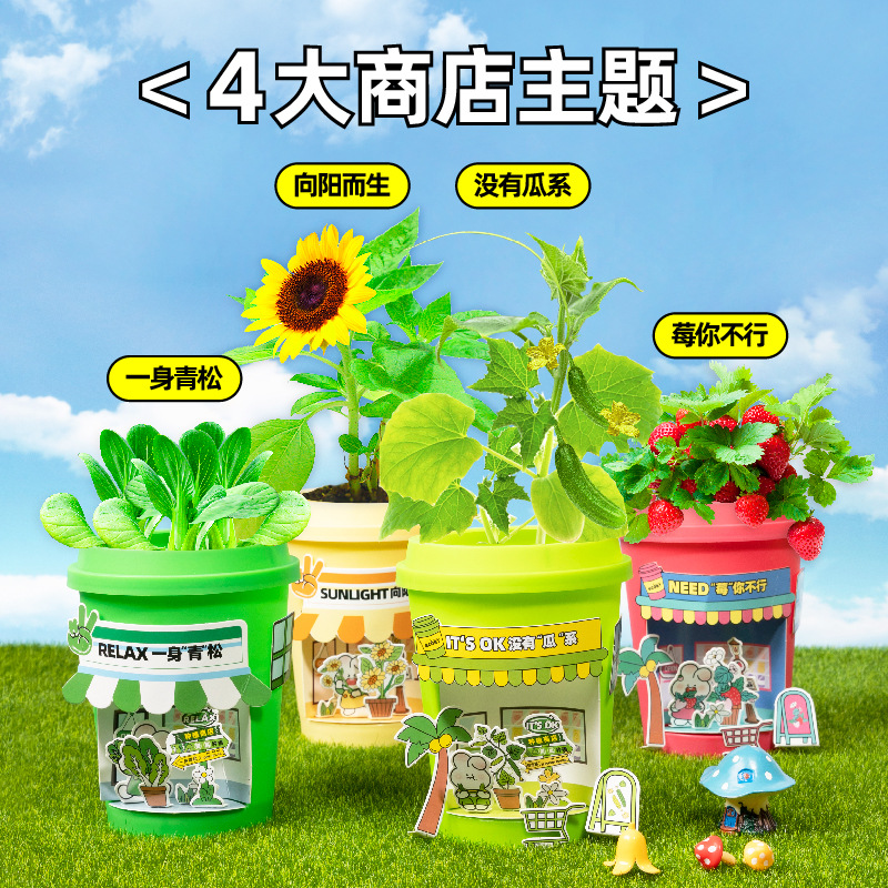 ecoey亲子创意DIY儿童科学种植小盆栽幼儿园种植土盆景批发绿植