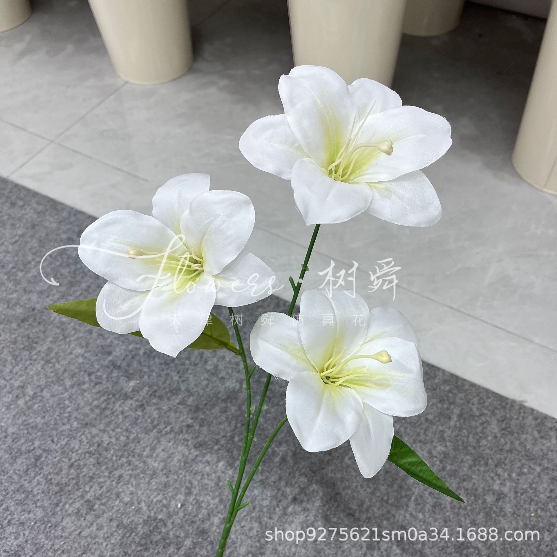 Hemerocallis de 3 cabezas blanco leche de lirio