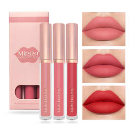 (3支)装跨境彩妆lipgloss private label唇彩3支口红棕色欧美唇釉