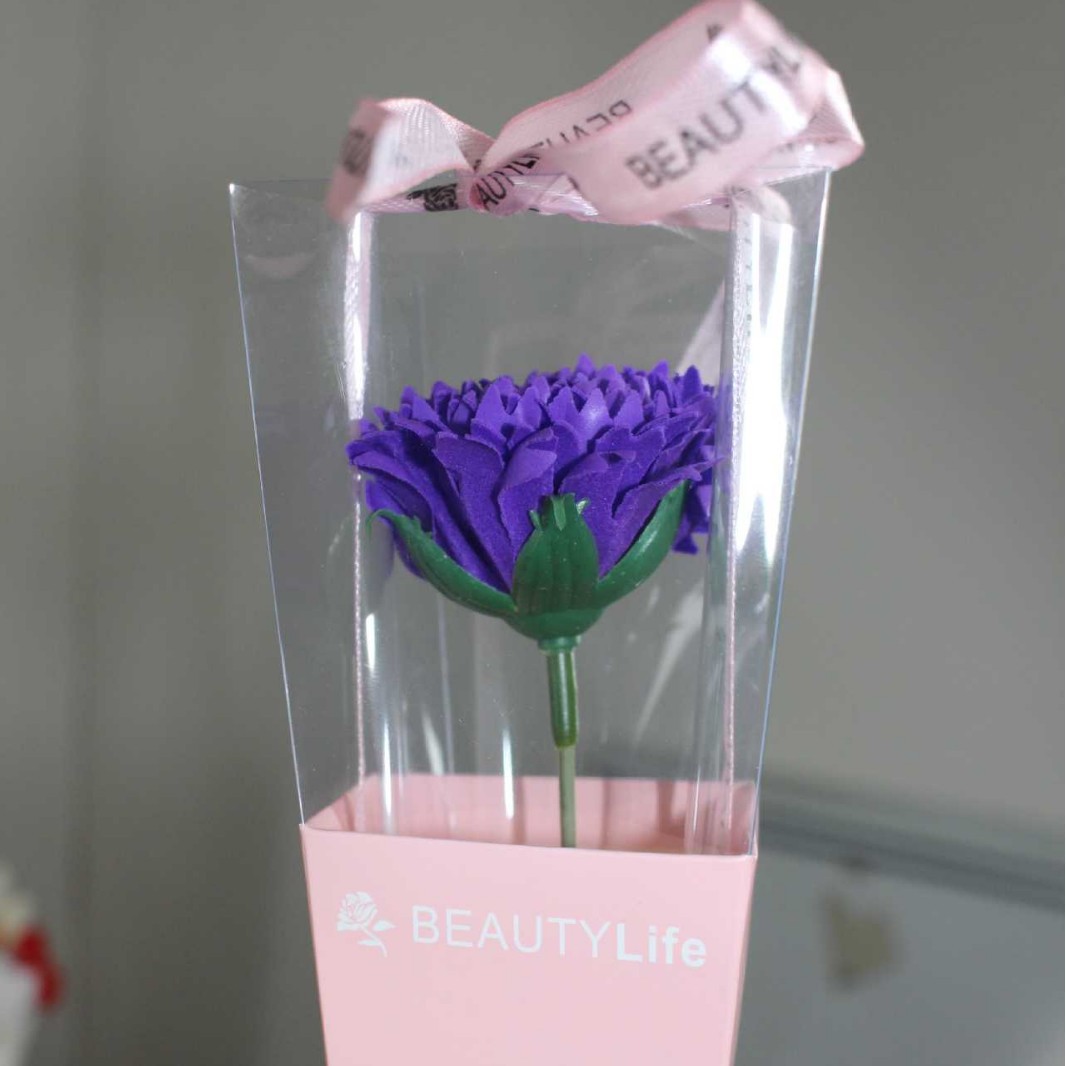 Single carnation (PVC box) ~ blue