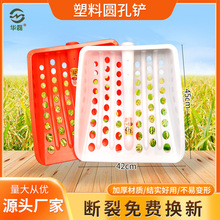 �����@�^�A�������@�P䓻��P�ռZʳ����P�Ӵ�̖�����P�ͼZ�P