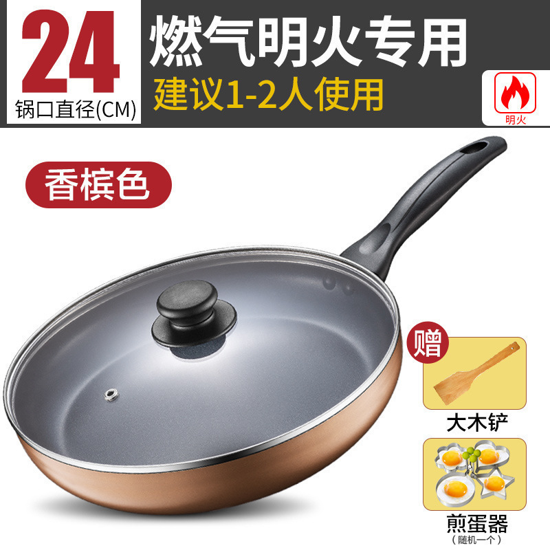 샴페인 골드 가스 (24CM 커버 포함)