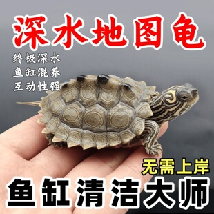 �����^�p�߼�С�������~�׹�ĸˮ����ɼ��Bˮ���Z���B���؈D��