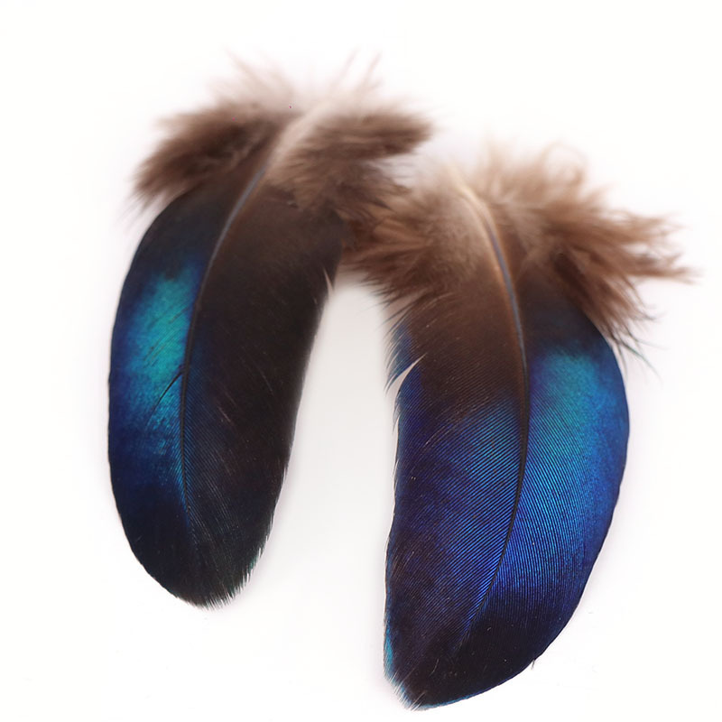 d3e0eaa194bd70bbbe74b171874e1d