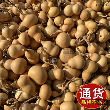 С���Jһ��؛Դ�����^��Ȼ����С����������ؔ����湩���湤�S