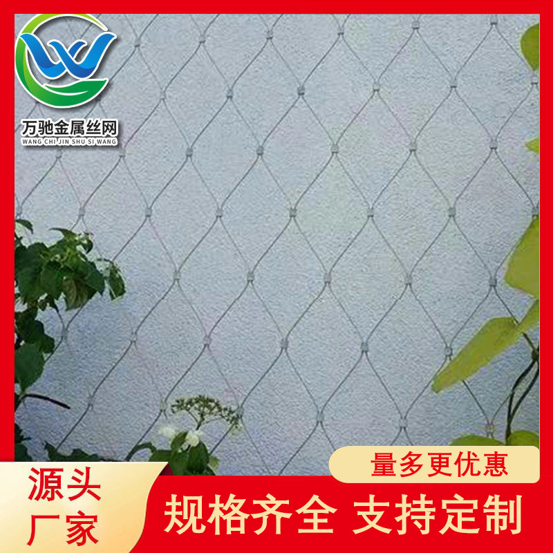 植物爬藤绳网 绿色园艺家用百香果葡萄丝黄瓜类攀爬网 不锈钢绳网