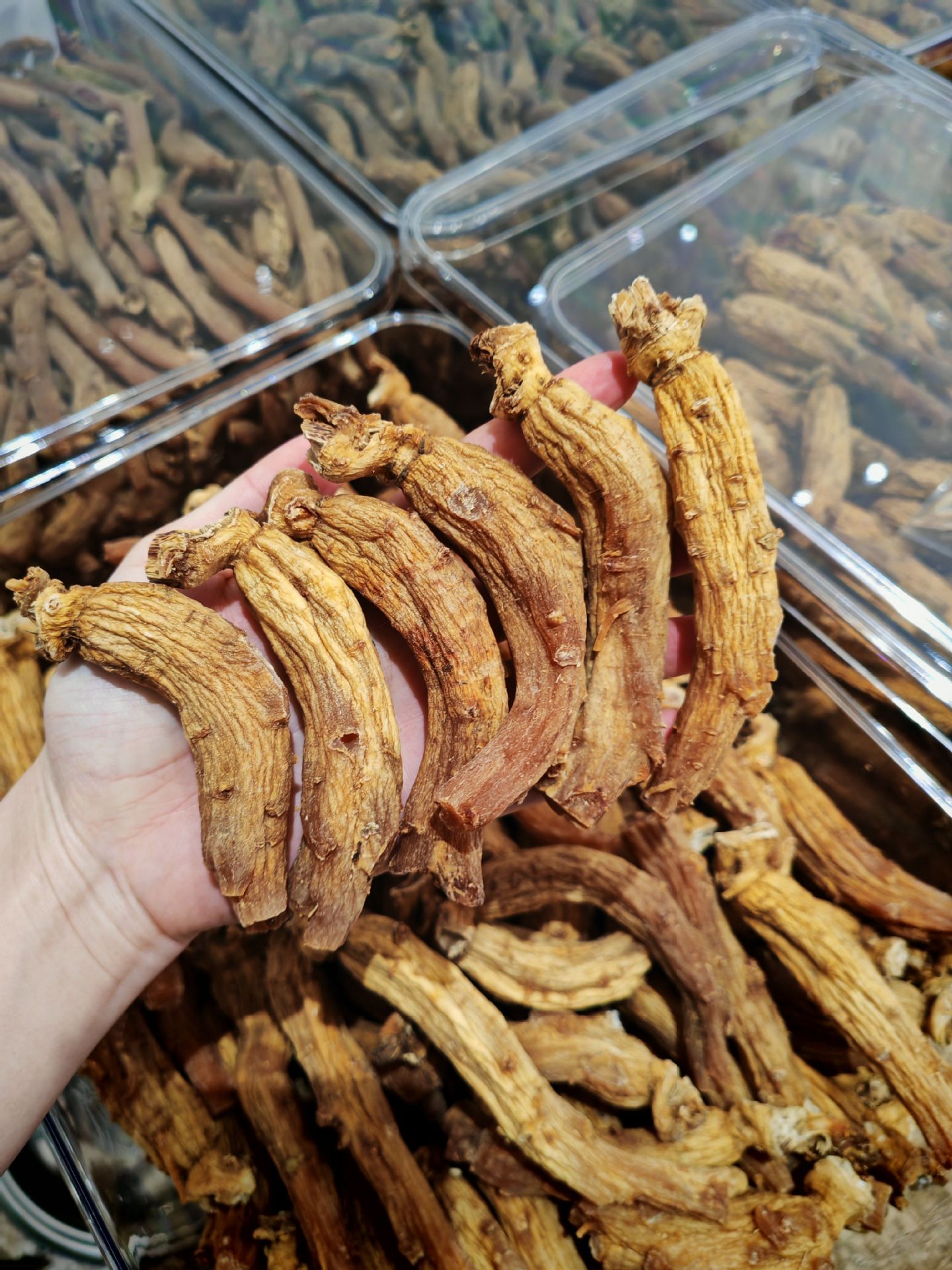 Korean Red Ginseng Goryeo Ginseng Whole Roots 250g Sugar-Free Non-Steamed Dried Panax Ginseng for Slicing Grinding and Daily Herbal Use in use