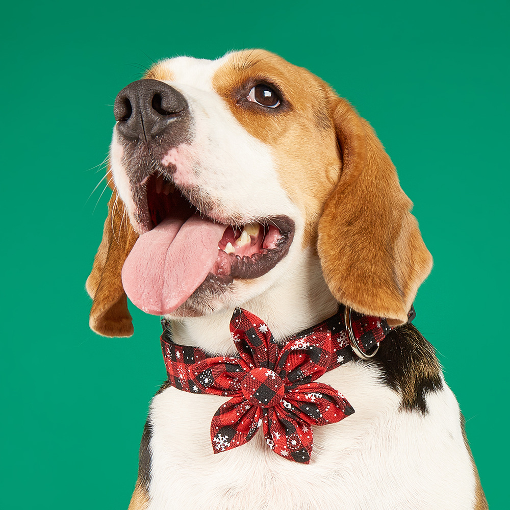 Tanpopo flores de sol de Navidad cuadrado rojo y negro para mascotas collar arco collar perro corbata