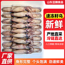 �S�Lֱ�����l���ֱ�l�ك��ў���偼t���������rˮ�a���ßo���ў�